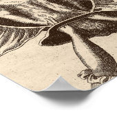 Poster Illustration de naissance de Justine Siegemund Cou (Coin)