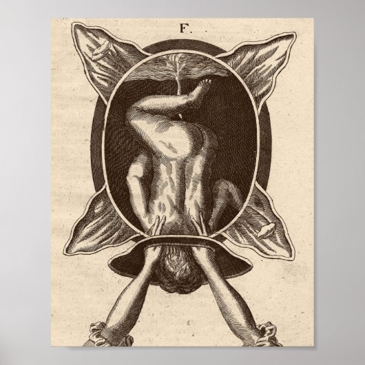 Poster Illustration de naissance de Justine Siegemund Cou (Devant)