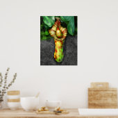 Poster Illustration de Nepenthes, Pitcher Plante (Cuisine)