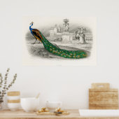 Poster Illustration de paon vintage (Cuisine)