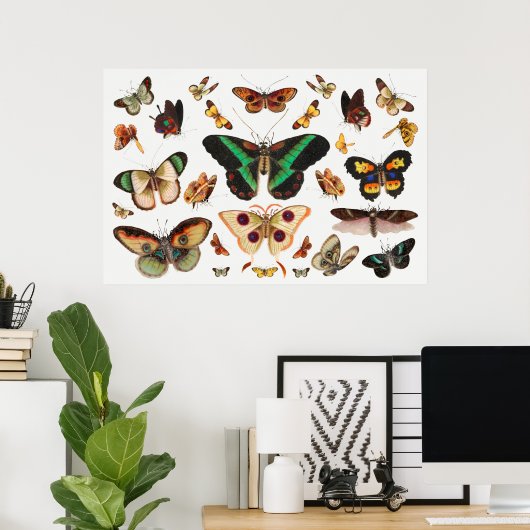 Poster Illustration de papillon (Bureau à domicile)
