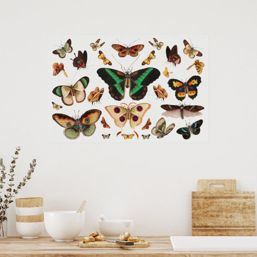 Poster Illustration de papillon (Cuisine)