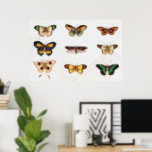 Poster Illustration de papillon (Bureau à domicile)
