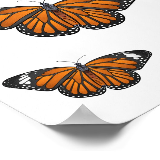 Poster Illustration de papillon monarque (Coin)
