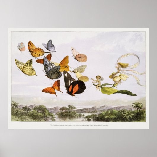 Poster Illustration de papillon vintage (Devant)