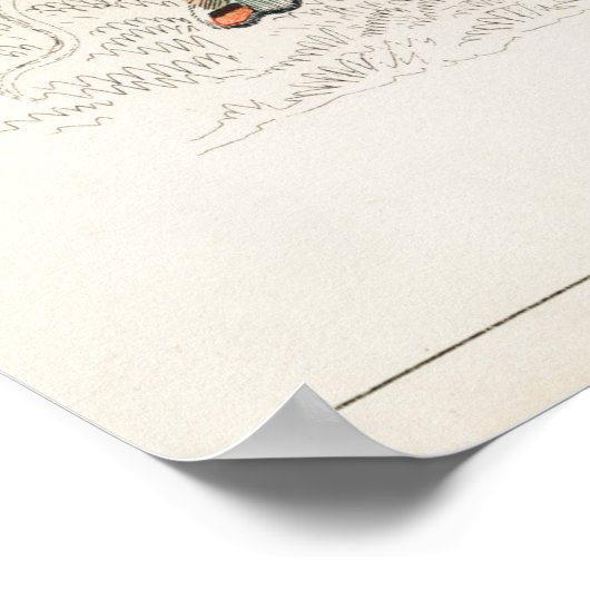 Poster Illustration de papillon vintage (Coin)