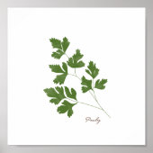 Poster Illustration de persil | Herbes Cuisine Mur Art (Devant)