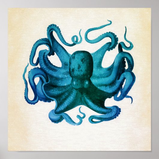 Poster Illustration de pieuvre aquarelle (Devant)