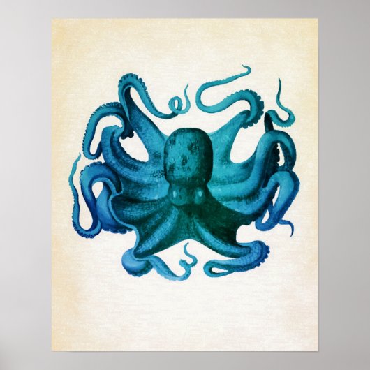 Poster Illustration de pieuvre aquarelle (Devant)