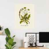 Poster Illustration de pissenlit vintage (Bureau à domicile)