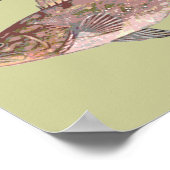 Poster Illustration de poisson mérou (Coin)