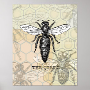 Poster Illustration de reine abeille insecte