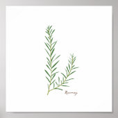Poster Illustration de romarin | Herbes Cuisine Mur Art (Devant)