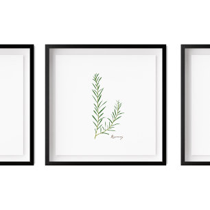 Poster Illustration de romarin Herbes Cuisine Mur Art