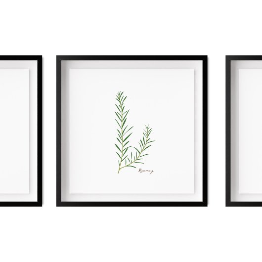 Poster Illustration de romarin | Herbes Cuisine Mur Art