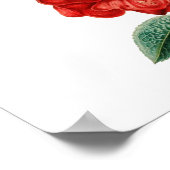 Poster Illustration de rose rouge vintage Thunder_Cove (Coin)