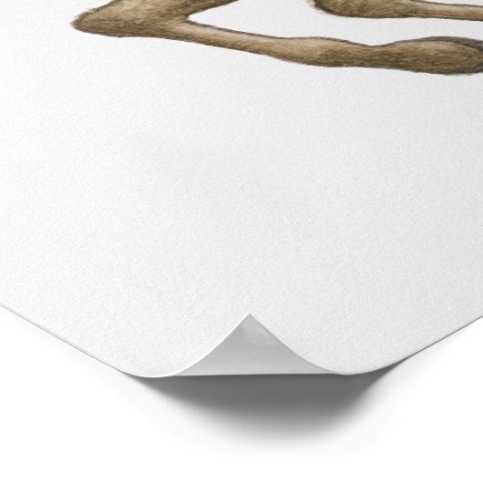 Poster Illustration de Samurai sur l'arc à cheval (Coin)