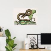 Poster Illustration de serpent vintage (Bureau à domicile)