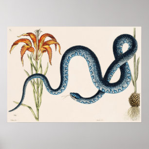 Poster Illustration de serpent vintage