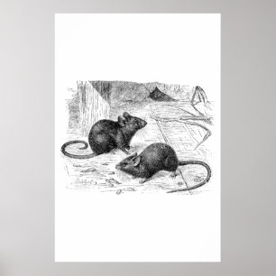 Poster Illustration de souris rétro de souris à souris à 
