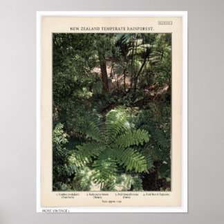 POSTER ILLUSTRATION DE STYLE VINTAGE DE FORÊT DE NOUVELLE
