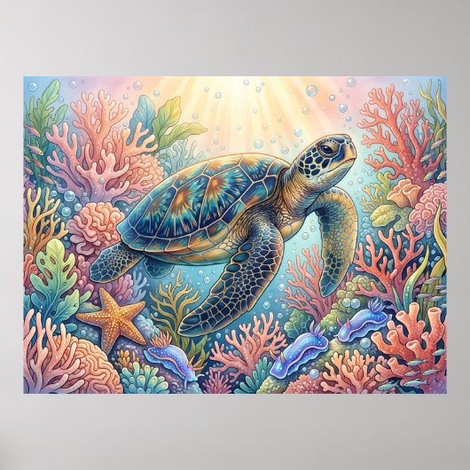 Poster Illustration de tortue (Devant)