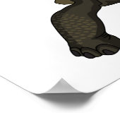 Poster Illustration de tortue terrestre des Galapagos (Coin)