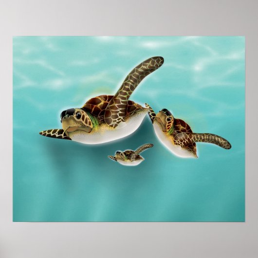 Poster Illustration de tortues marines (Devant)