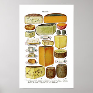 Poster Illustration de variétés de fromage victoriennes v