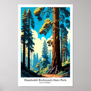 Poster Illustration de voyage dans le parc Humboldt Redwo
