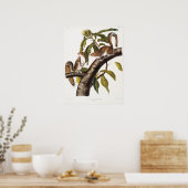 Poster Illustration d'écureuil vintage (Cuisine)