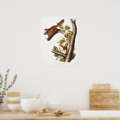 Poster Illustration d'écureuil volant vintage (Cuisine)