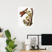 Poster Illustration d'écureuil volant vintage (Bureau à domicile)