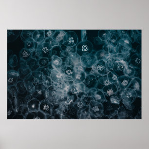 POSTER ILLUSTRATION DES BULLES BLEUS ET BLANCS