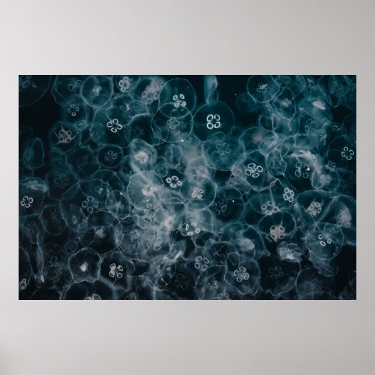 POSTER ILLUSTRATION DES BULLES BLEUS ET BLANCS (Devant)