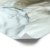 Poster Illustration des cellules de grippe aviaire (Coin)