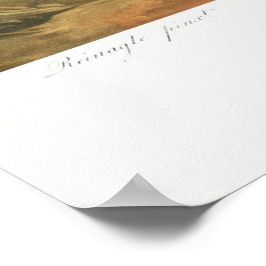 Poster Illustration des fleurs 4 (Coin)