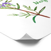 Poster Illustration des fleurs d'herbe d'aquarelle (Coin)