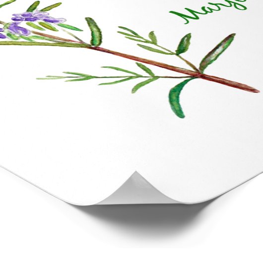 Poster Illustration des fleurs d'herbe d'aquarelle (Coin)