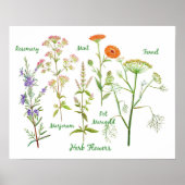 Poster Illustration des fleurs d'herbe d'aquarelle (Devant)