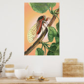 Poster Illustration des insectes du Canada (Cuisine)