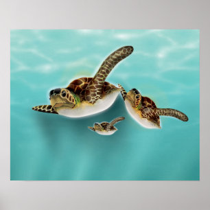 Poster Illustration des tortues marines