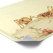 Poster Illustration d'insectes vintages (Coin)