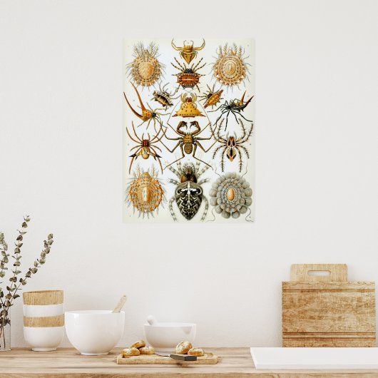 Poster Illustration d'insectes vintages (Cuisine)