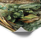 Poster Illustration d'insectes vintages (Coin)