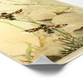 Poster Illustration d'insectes vintages (Coin)