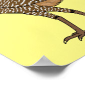 Poster Illustration d'oiseau de curassow (Coin)