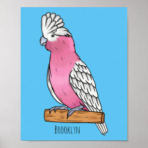Poster Illustration d'oiseau de Galah