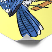 Poster Illustration d'oiseau de jay bleu (Coin)