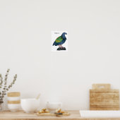 Poster Illustration d'oiseau de pigeon de Nicobar (Cuisine)